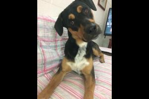 Miniatura publicación